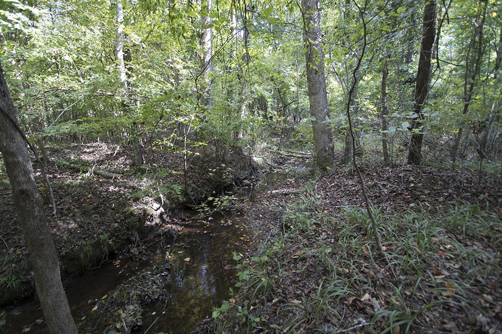 36.30 Acres of Recreational or Hunting Land featured image