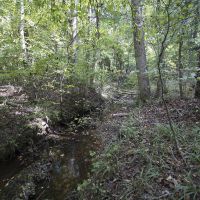 36.30 Acres of Recreational or Hunting Land