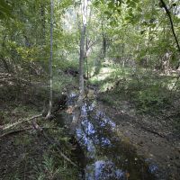 36.30 Acres of Recreational or Hunting Land images 6
