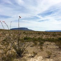 High Desert 90 acres images 4