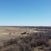 Whitetail Retreat