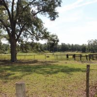 Country Home on 2 Acres images 3