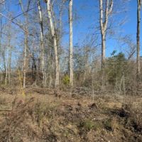 266 Acres in Scott County in Forest  MS