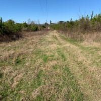 266 Acres in Scott County in Forest  MS images 2
