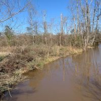 266 Acres in Scott County in Forest  MS images 6