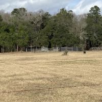Low Country Timber images 3