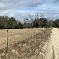 Low Country Timber images 2