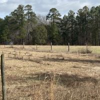 Low Country Timber images 6