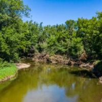 18 &nbsp; Acre Acreage - PRICE REDUCED images 6