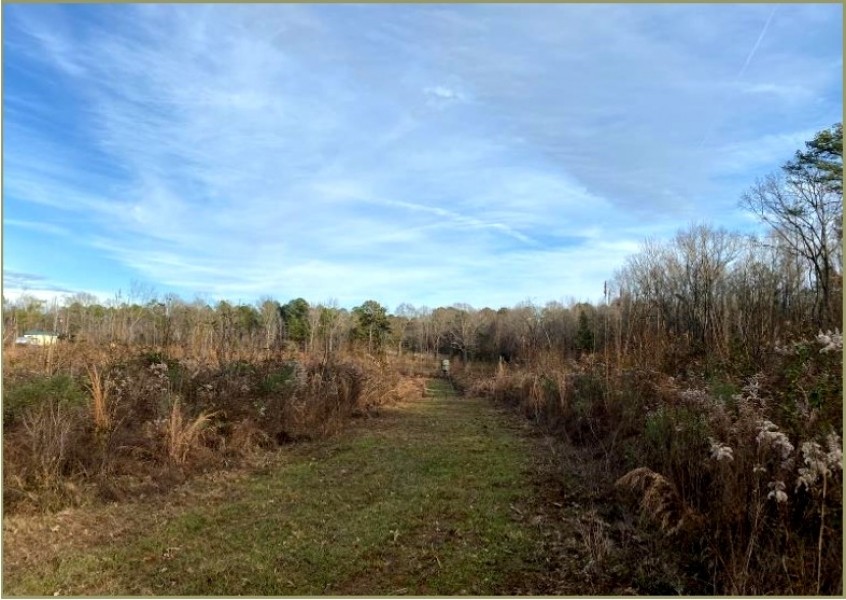 36 Acres in Holmes County in Goodman  MS featured image