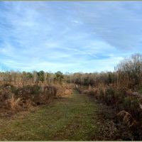 36 Acres in Holmes County in Goodman  MS