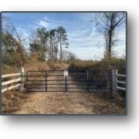 36 Acres in Holmes County in Goodman  MS images 2