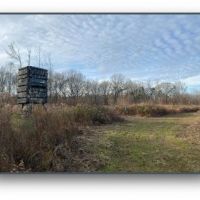 36 Acres in Holmes County in Goodman  MS images 5