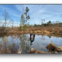 36 Acres in Holmes County in Goodman  MS images 6
