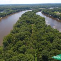 62 ac - Ouachita River Tract near Town images 3