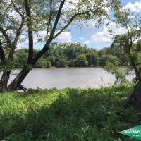 62 ac - Ouachita River Tract near Town images 4