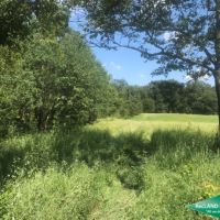 62 ac - Ouachita River Tract near Town images 5