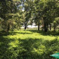 62 ac - Ouachita River Tract near Town images 6