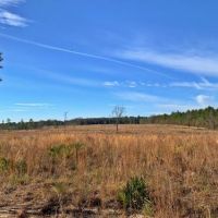 Old Citronelle Road Homesite Tract B images 5