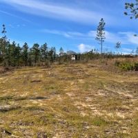 Old Citronelle Road Homesite Tract B images 6