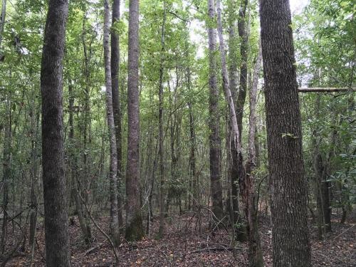 Boothtown and Earl Booth Road Tract featured image