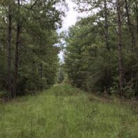 Boothtown and Earl Booth Road Tract images 6