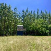 Longleaf Hunting Retreat images 1