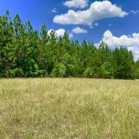 Longleaf Hunting Retreat images 2