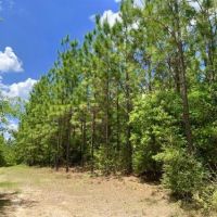 Longleaf Hunting Retreat images 4
