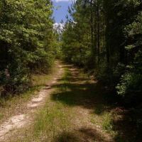 Longleaf Hunting Retreat images 6
