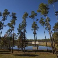 Dogwood Branch Lodge and Lake images 6