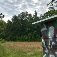 The West Hobolochitto Creek Tract images 3