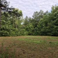 The West Hobolochitto Creek Tract images 5