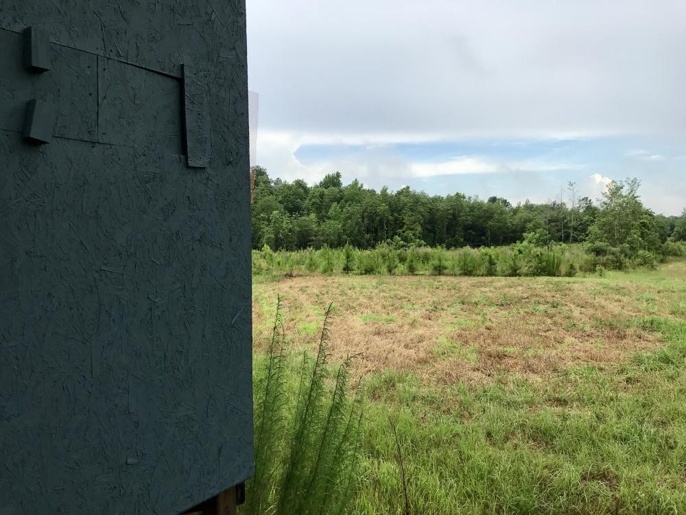 The West Hobolochitto Creek Tract featured image