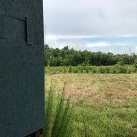The West Hobolochitto Creek Tract