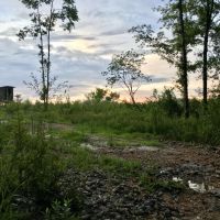 The West Hobolochitto Creek Tract images 6