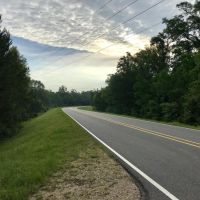 The West Hobolochitto Creek Tract images 2