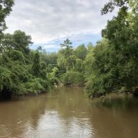The West Hobolochitto Creek Tract images 4