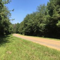 Packards Bend Timber and Hunting Investment images 3