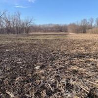 112 Acres m l  Davis Co.&nbsp; IA images 3