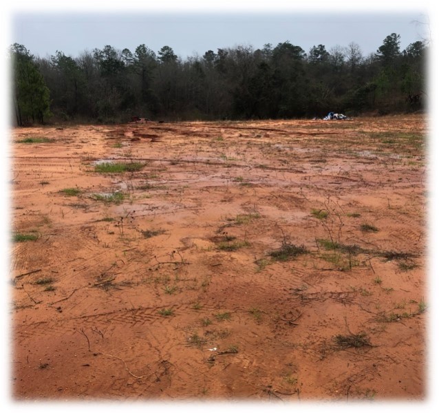 10.5 Acres in Smith County in Raleigh  MS featured image
