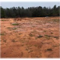 10.5 Acres in Smith County in Raleigh  MS