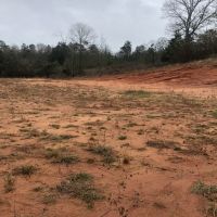 10.5 Acres in Smith County in Raleigh  MS images 2