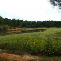 175 Acres in Monroe County in Hamilton  MS images 3