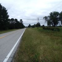 175 Acres in Monroe County in Hamilton  MS images 5