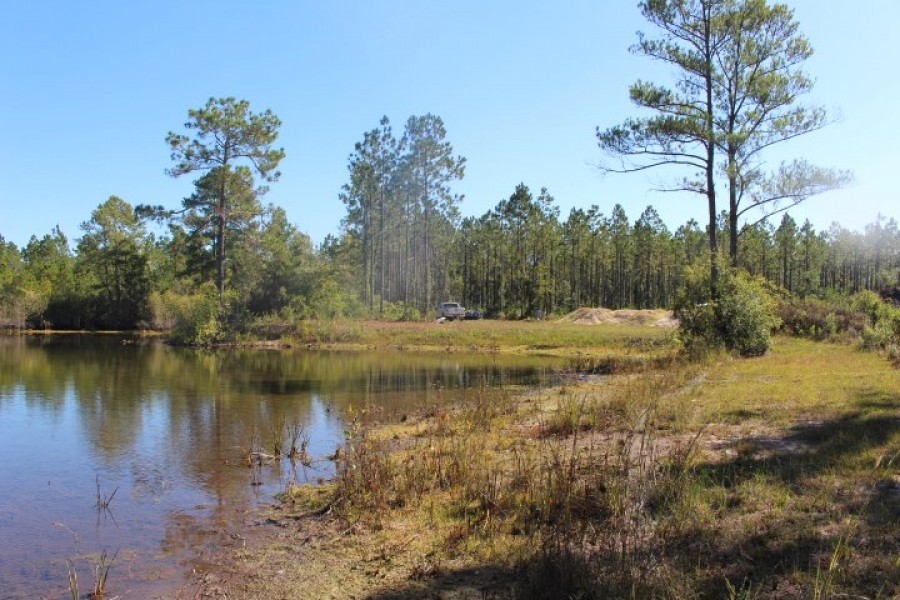 Merchantable Timber  Pond &nbsp;  Homesite featured image