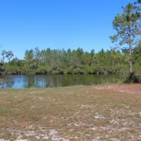 Merchantable Timber  Pond &nbsp;  Homesite images 2