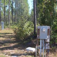 Merchantable Timber  Pond &nbsp;  Homesite images 4