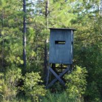 McIntosh Tract images 4