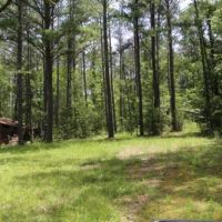 Davenport Tract Home Site images 2